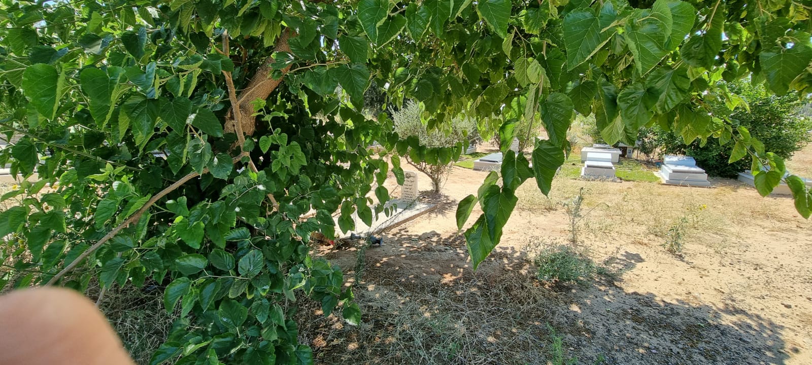 WhatsApp Image 2021-07-06 at 9.37.20 AM.jpeg